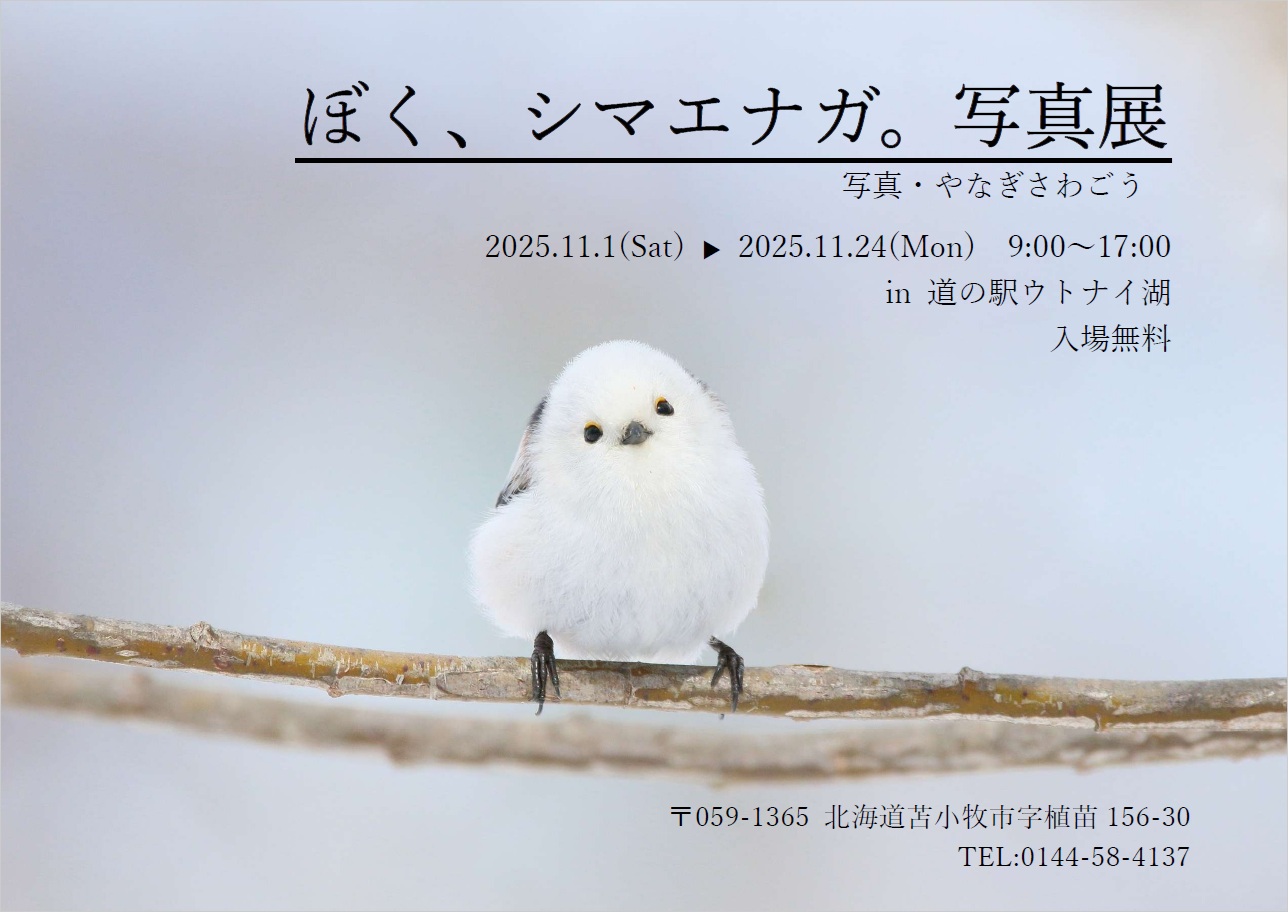 道の駅ウトナイ湖